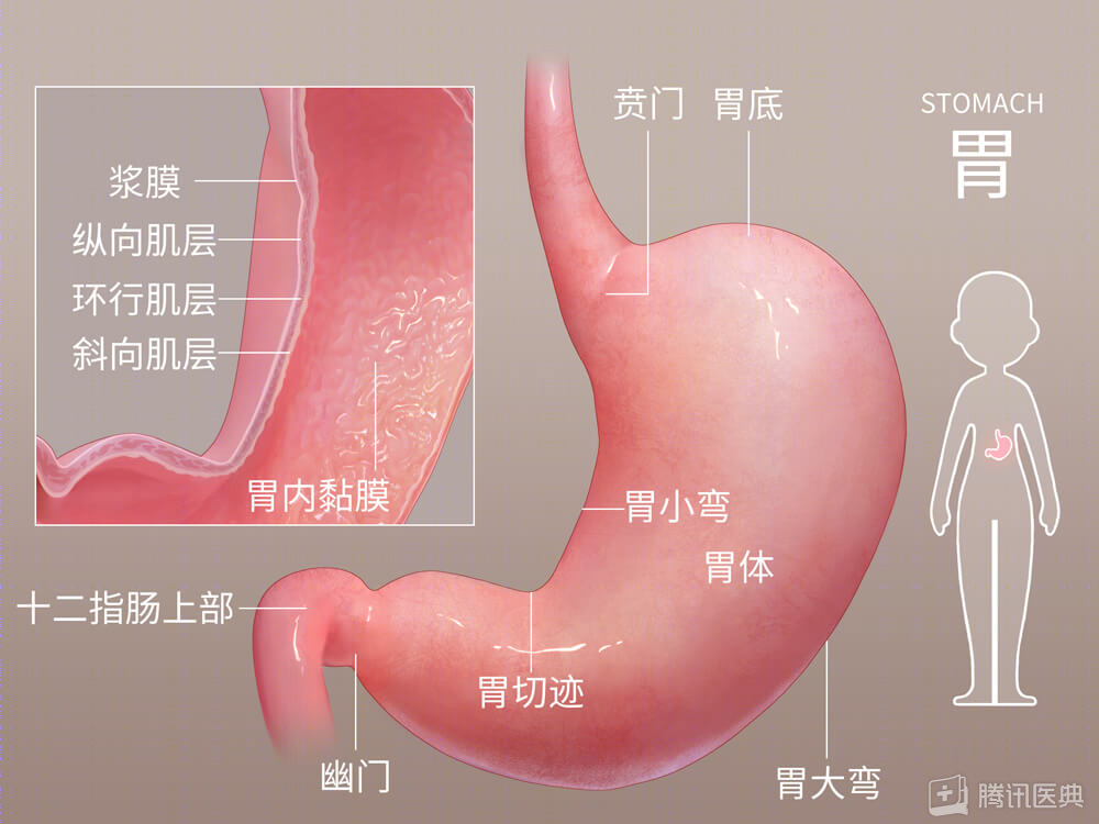 36歲女子，從胃痛到查出胃癌僅3周！醫(yī)生：這5類人最危險(xiǎn)